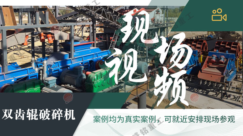 双齿辊破碎机 双齿辊破碎机